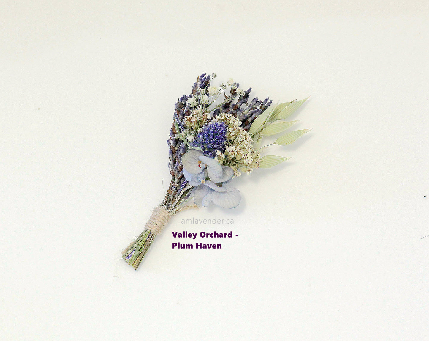 Boutonniere / Corsage : Valley Orchard - Plum Haven | AM Lavender