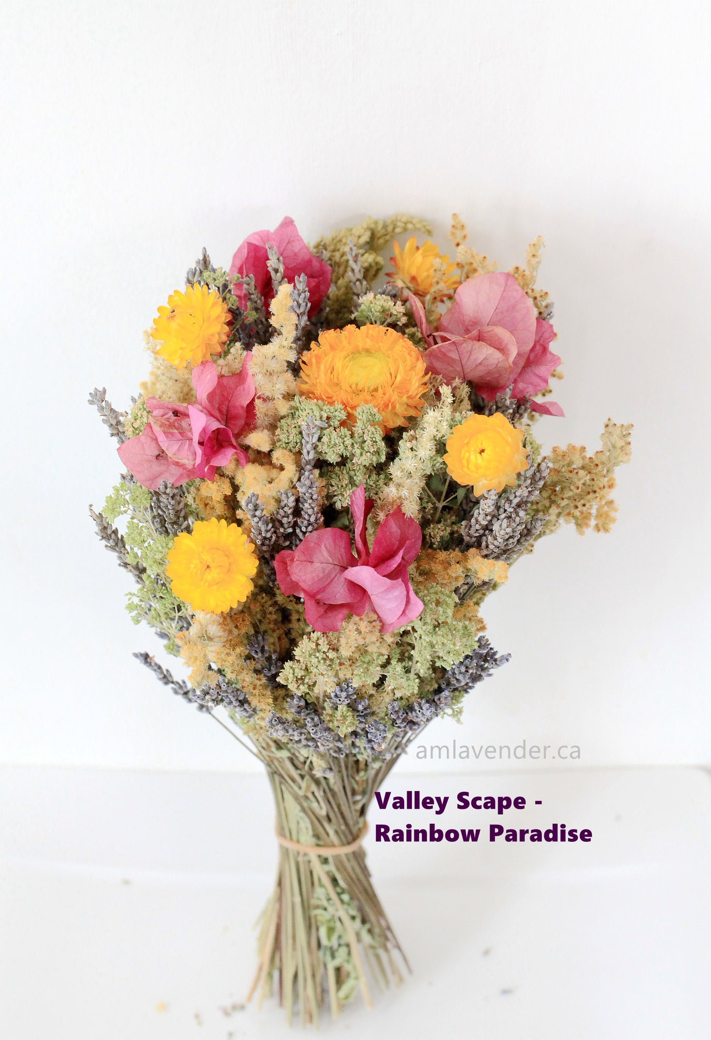 Bouquet - Valley Scape - Rainbow Paradise | AM Lavender