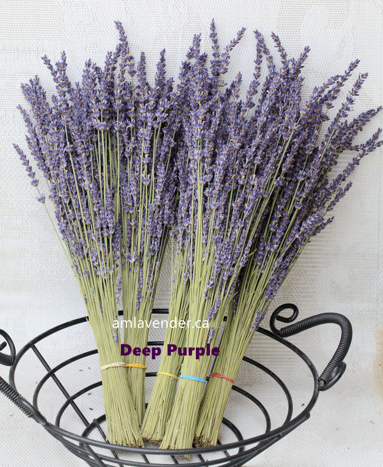 Set of 250 / 500 Organic French Lavender Stems | AM Lavender