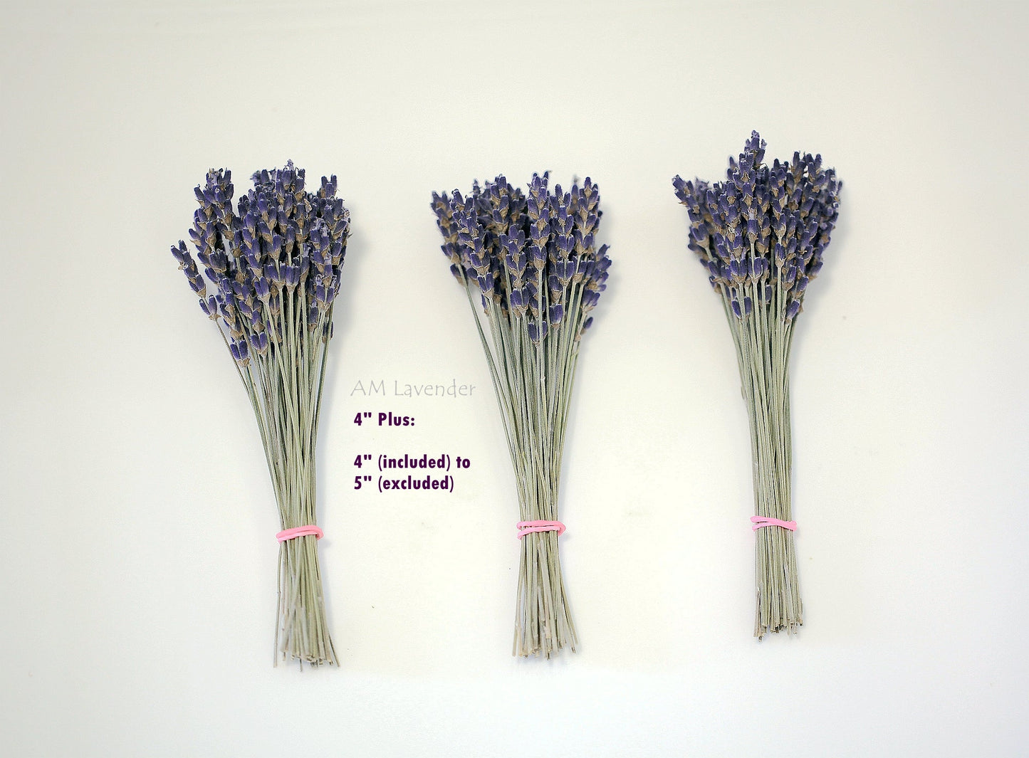Organic Lavender Cocktail Picks | Free Shipping to USA | AM Lavender
