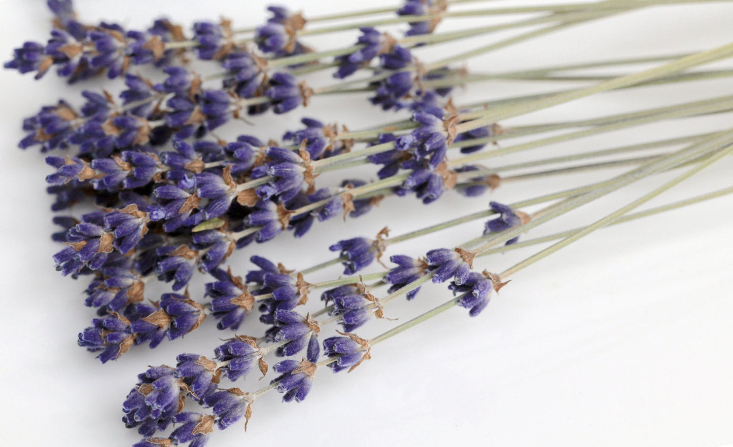 Organic Lavender Cocktail Picks | AM Lavender