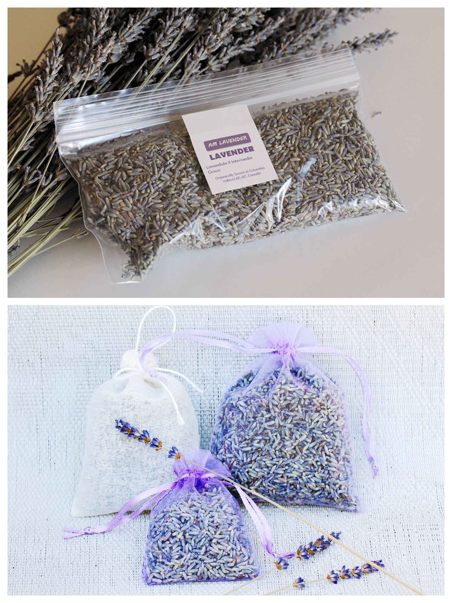 Organic Aromatic Lavender Buds | AM Lavender