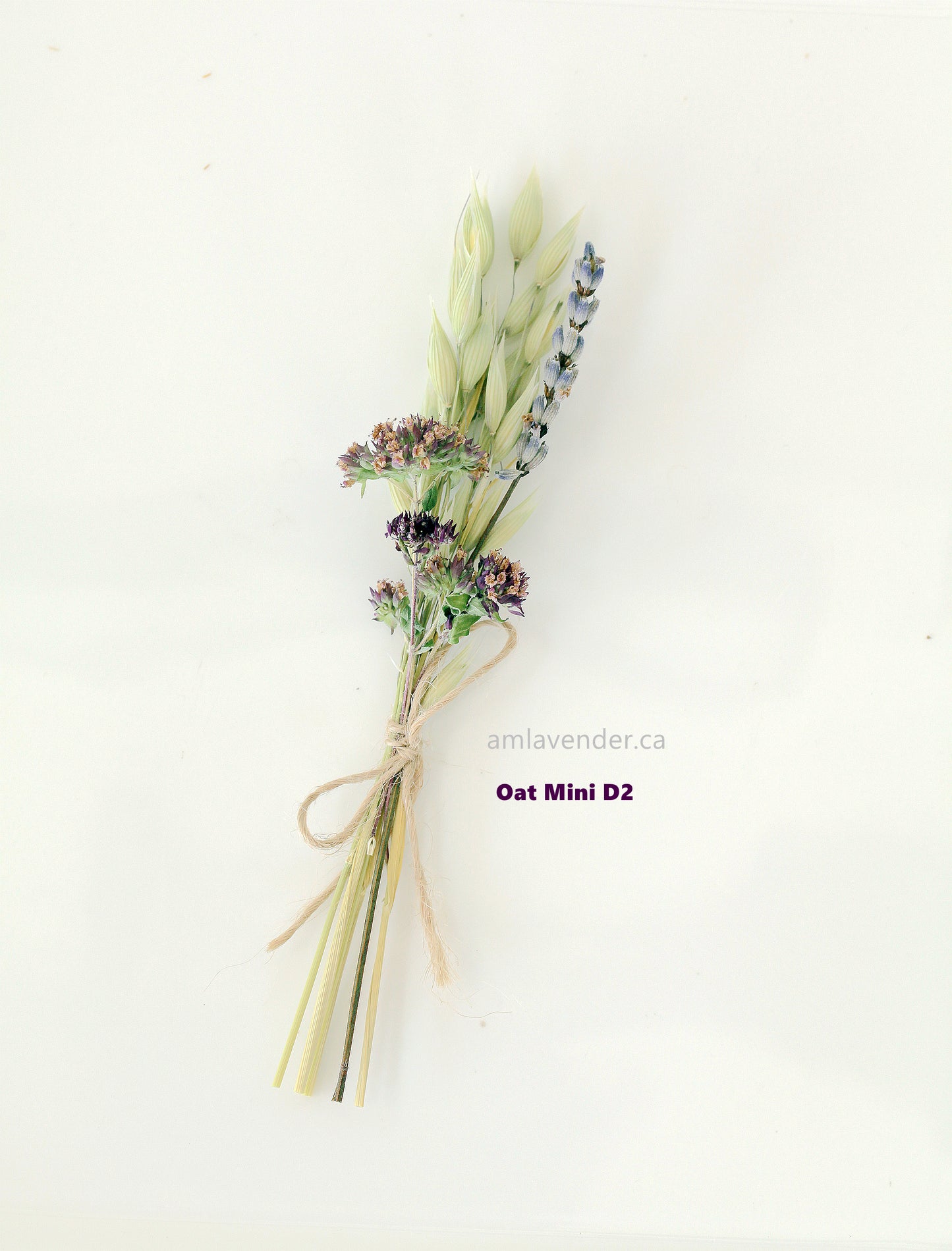 Napkin Bouquet: Oat Mini D2 | AM Lavender