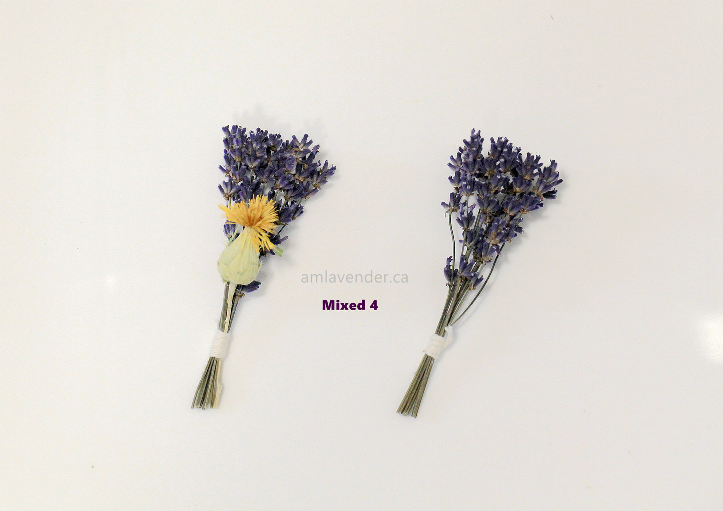 Cake Flower : Bitty Posy Mixed 4 | AM Lavender