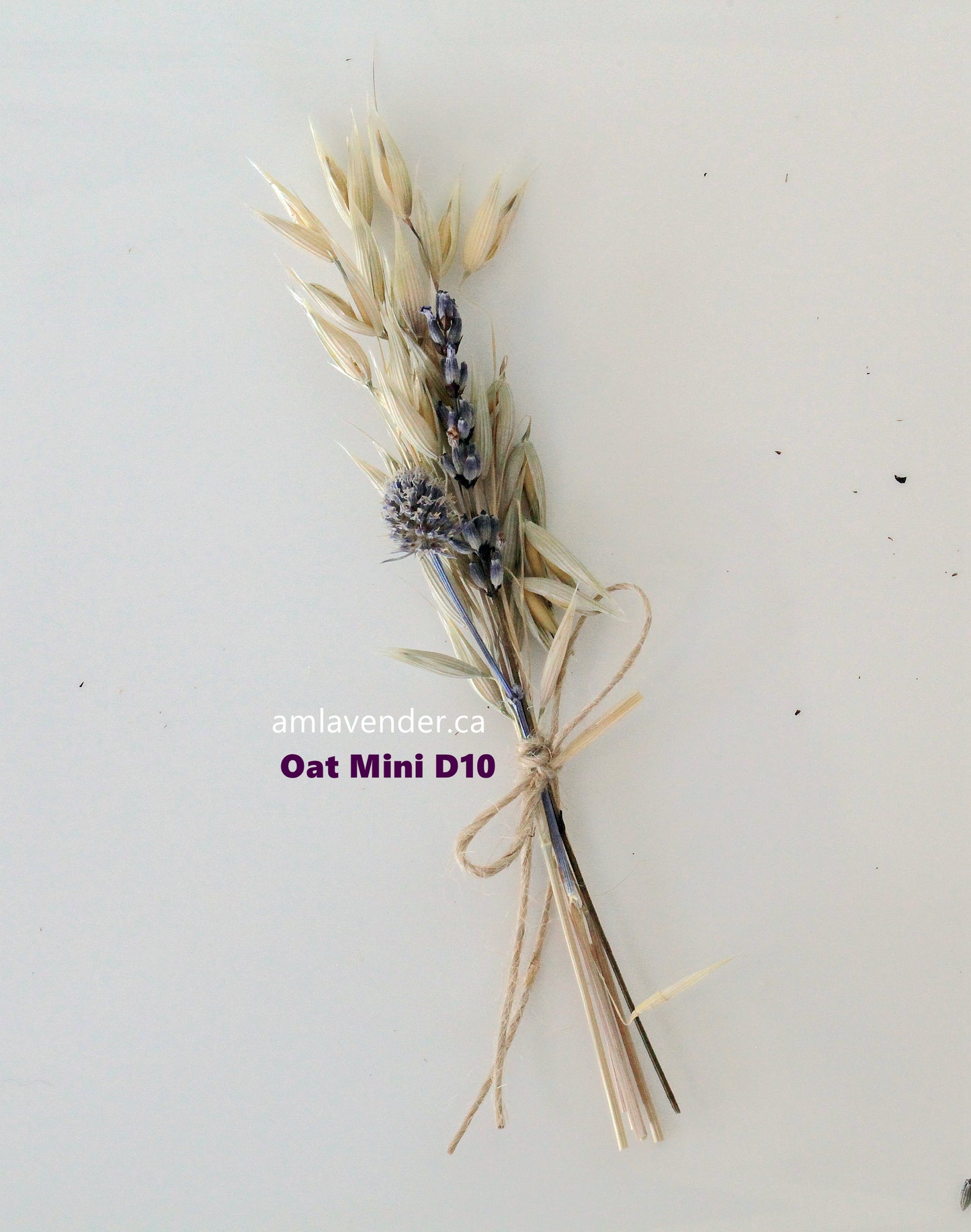 Napkin Bouquet: Oat Mini D10 | AM Lavender
