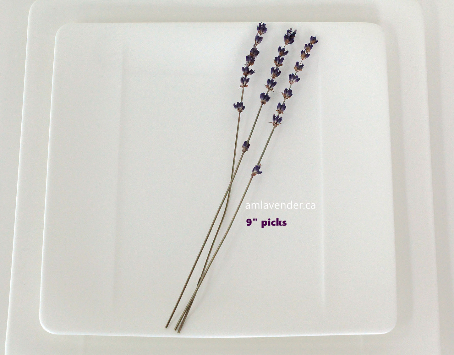 Organic Lavender Cocktail Picks | AM Lavender