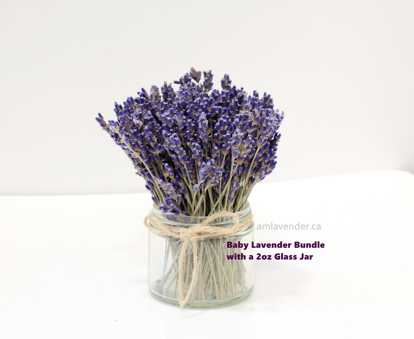Organic Baby Culinary Lavender Bundles, Lavender Tabletop Posy