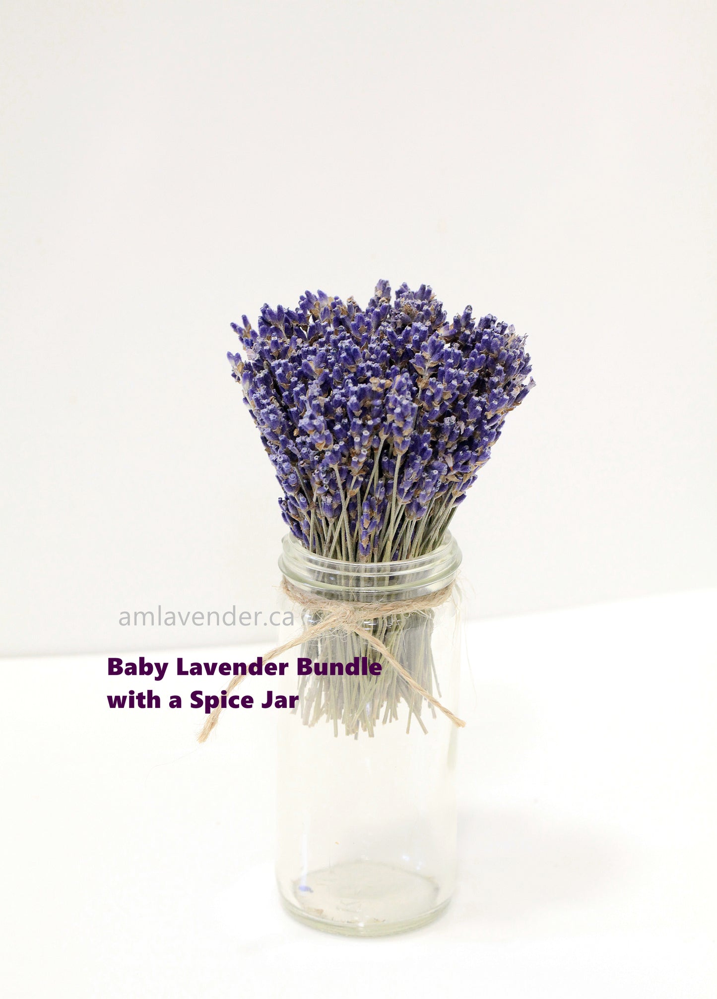 Organic Baby Culinary Lavender Bundles, Lavender Tabletop Posy