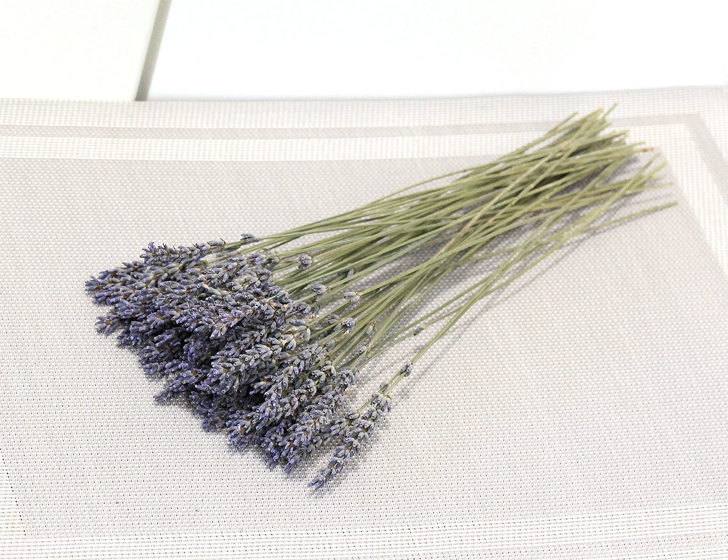 Set of 250 / 500 Organic French Lavender Stems | AM Lavender
