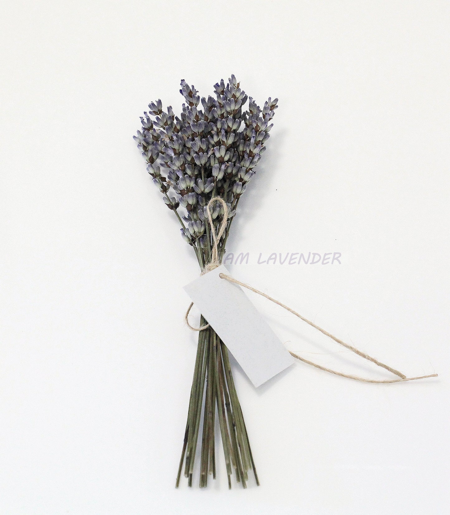 Napkin Bouquet: Lav Mini D2 | AM Lavender
