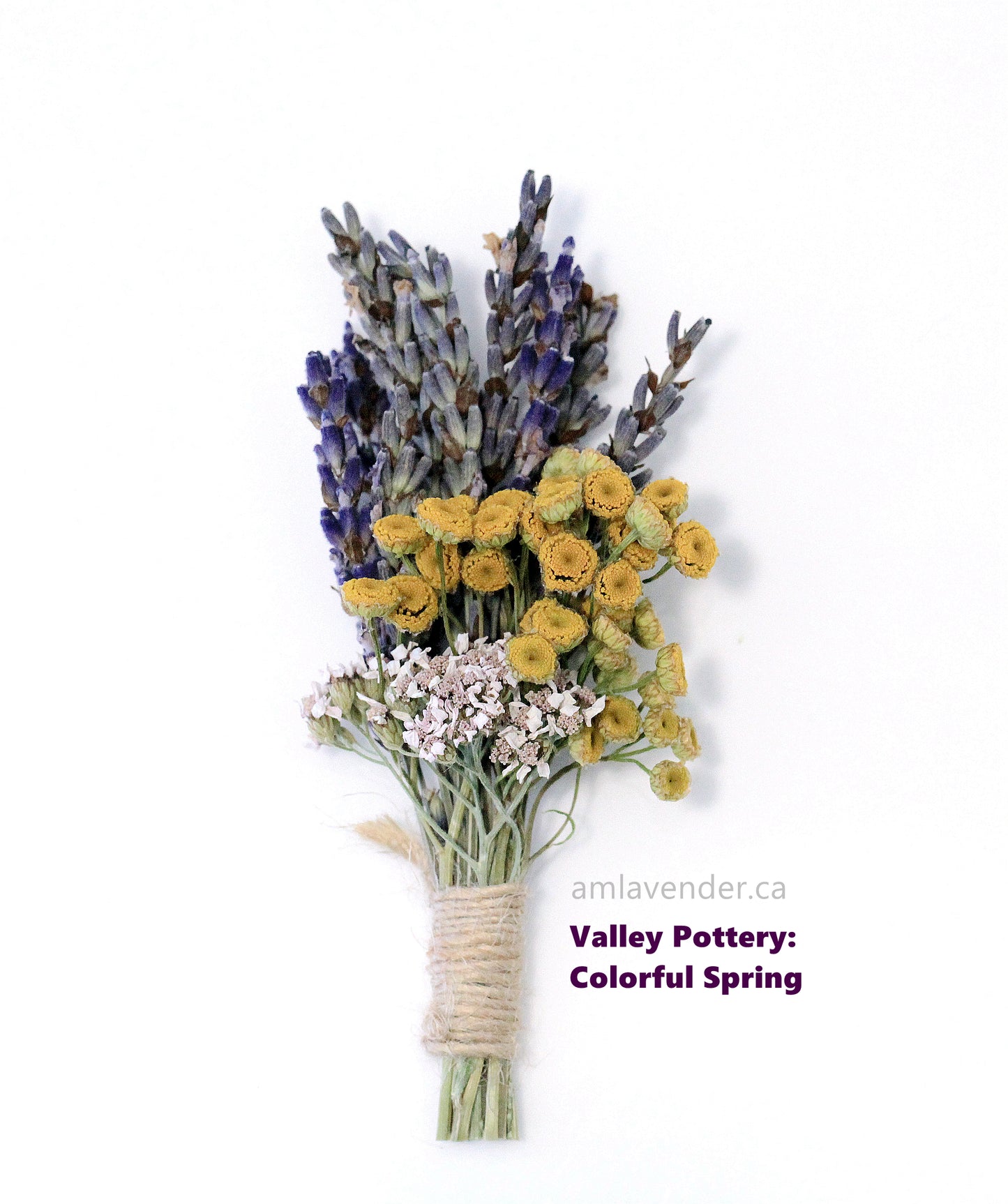 Boutonniere / Corsage : Valley Pottery - Colorful Spring | AM Lavender