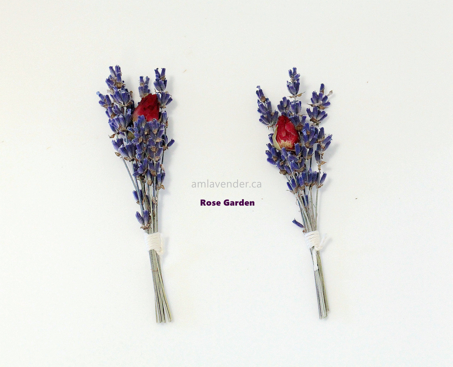 Cake Flower : Rose Garden | AM Lavender