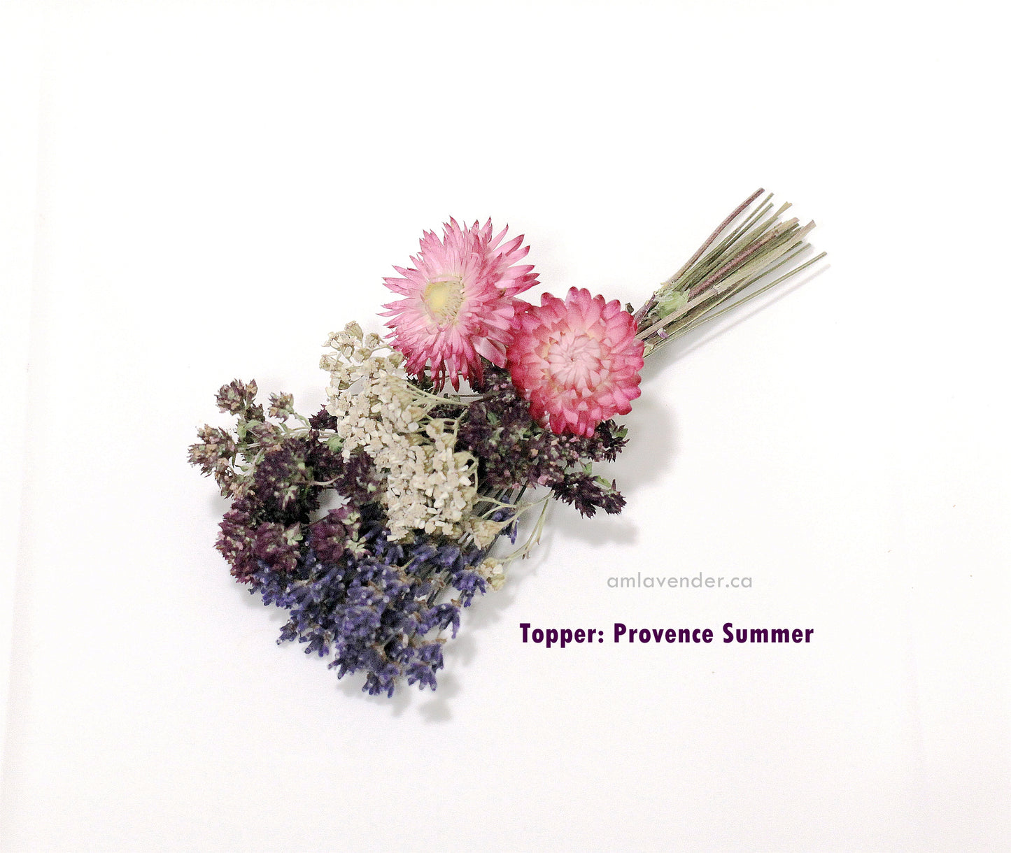 Cake Flower: Valley Pottery - Provence Summer | AM Lavender