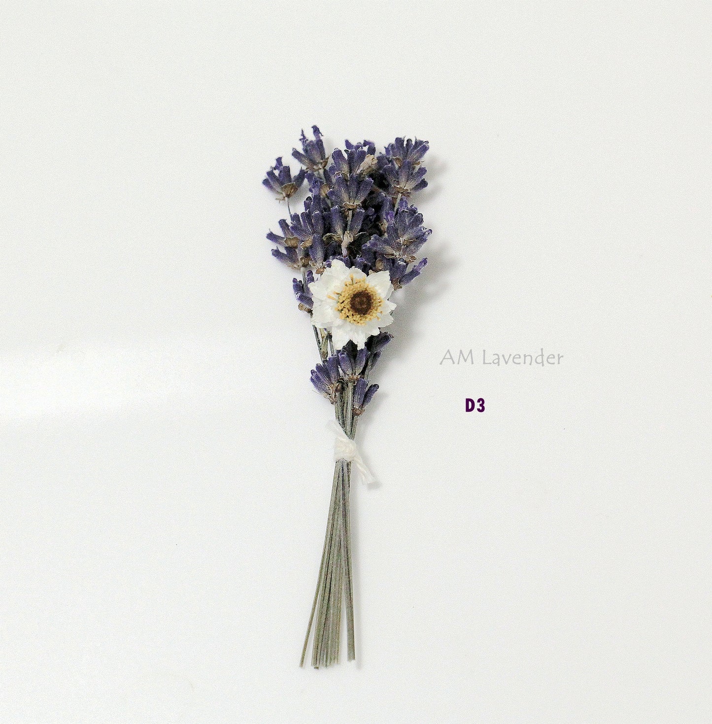 Cake Flower : Provence In the Fall | AM Lavender