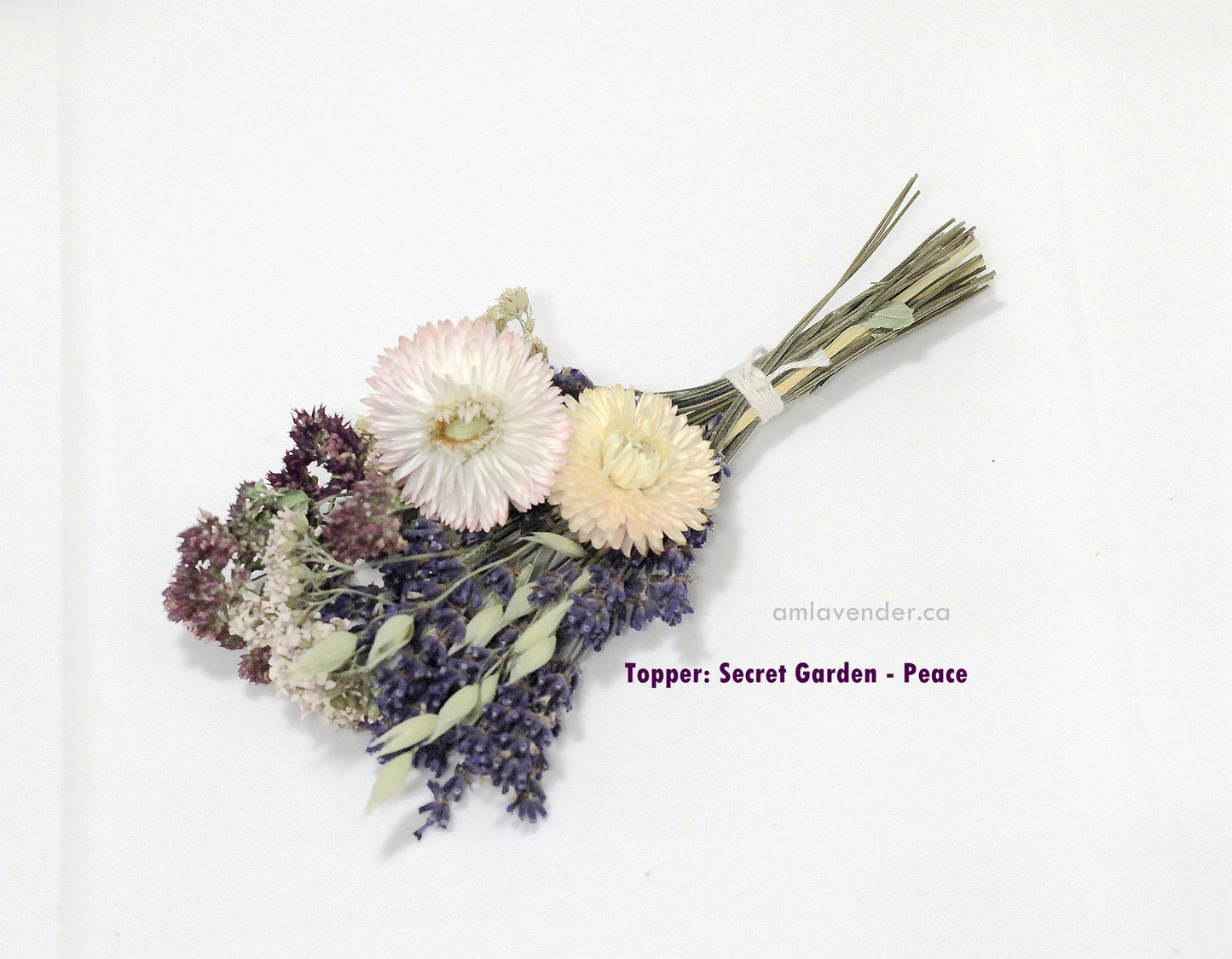 Cake Flower : Valley Garden - Peace | AM Lavender