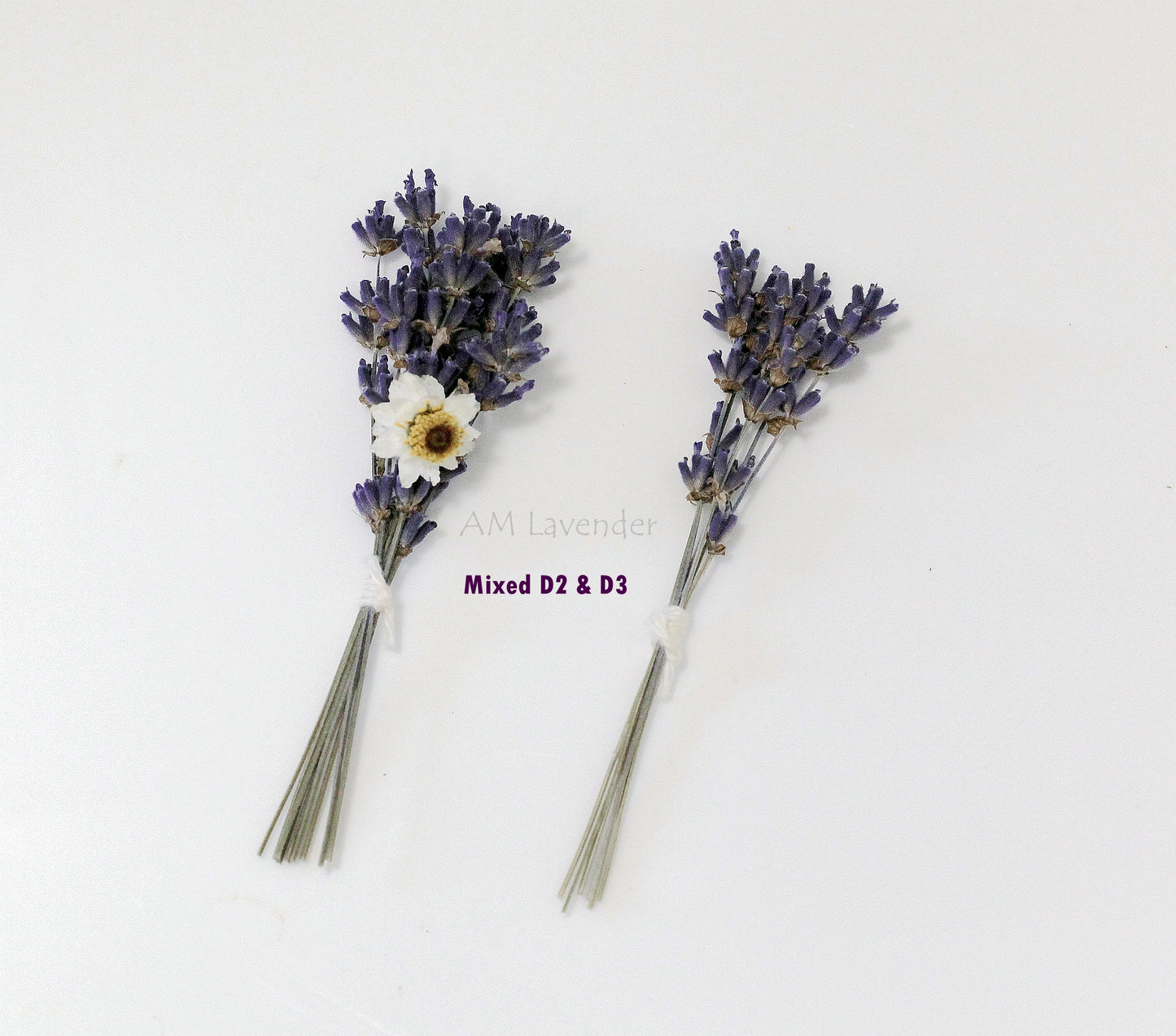 Cake Flower: Mixed Bitty Posy D2 & D3 | AM Lavender