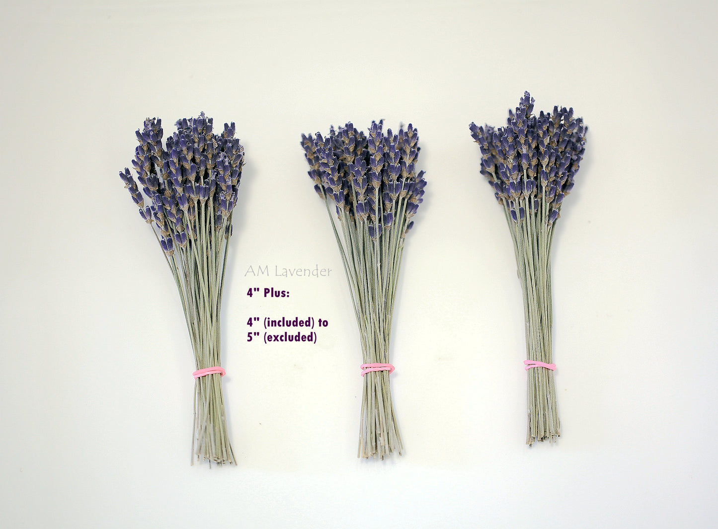 Organic Lavender Cocktail Picks | AM Lavender