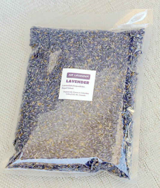 Organic Culinary Lavenders - Ship with tracking | AM Lavender