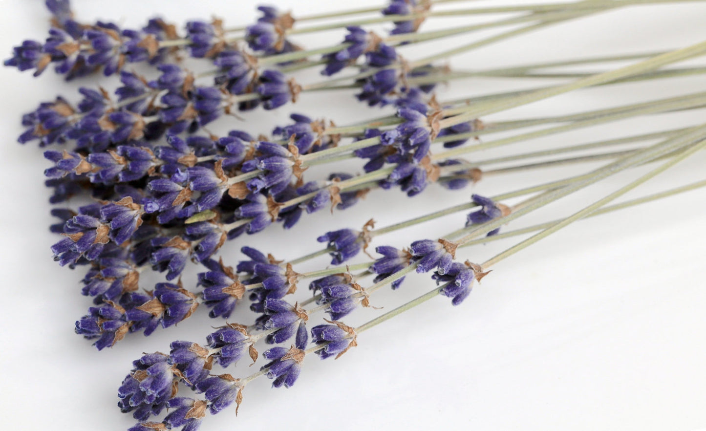 Organic Lavender Cocktail Picks | AM Lavender