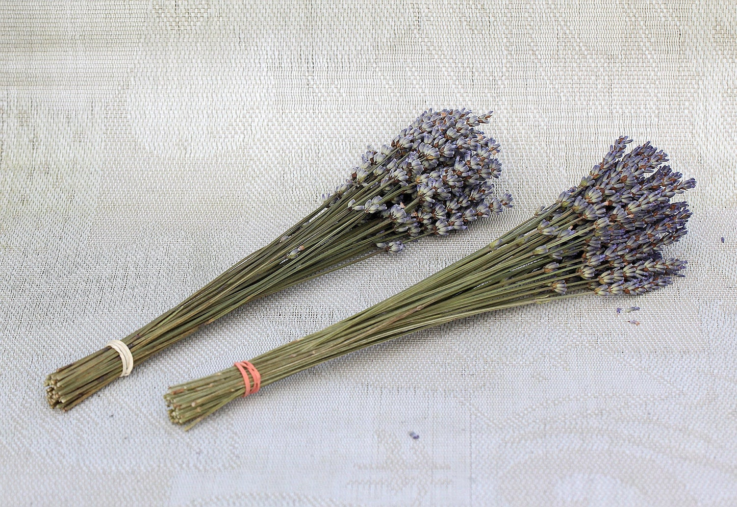 Set of 250 / 500 Organic French Lavender Stems | AM Lavender
