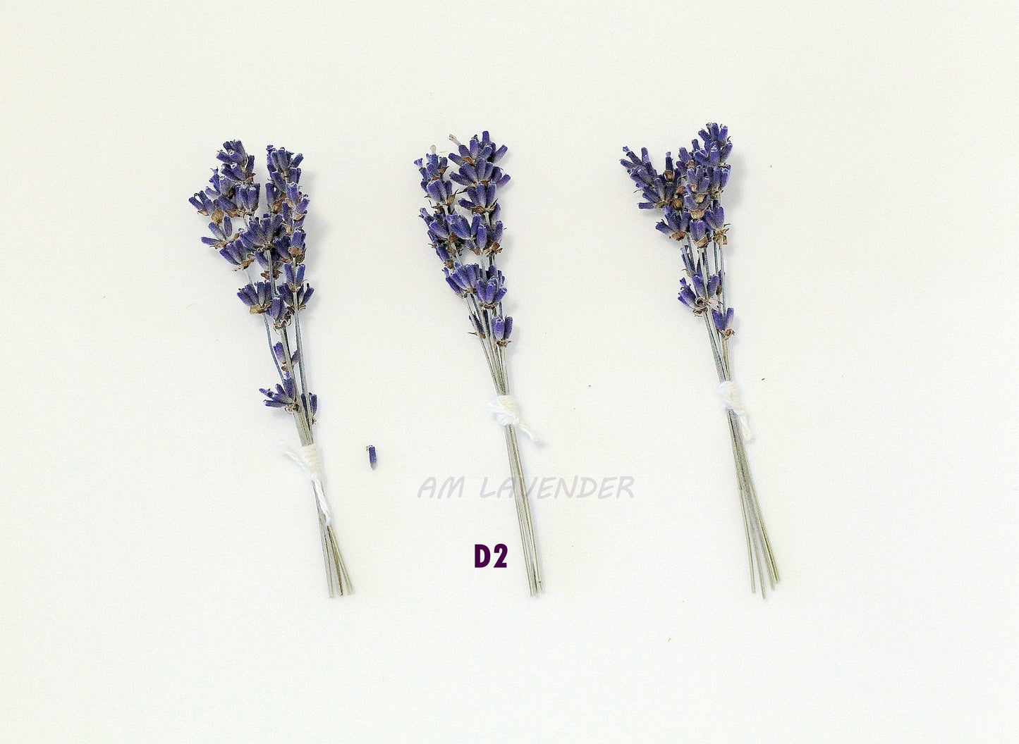 Cake Flower : D2 | AM Lavender