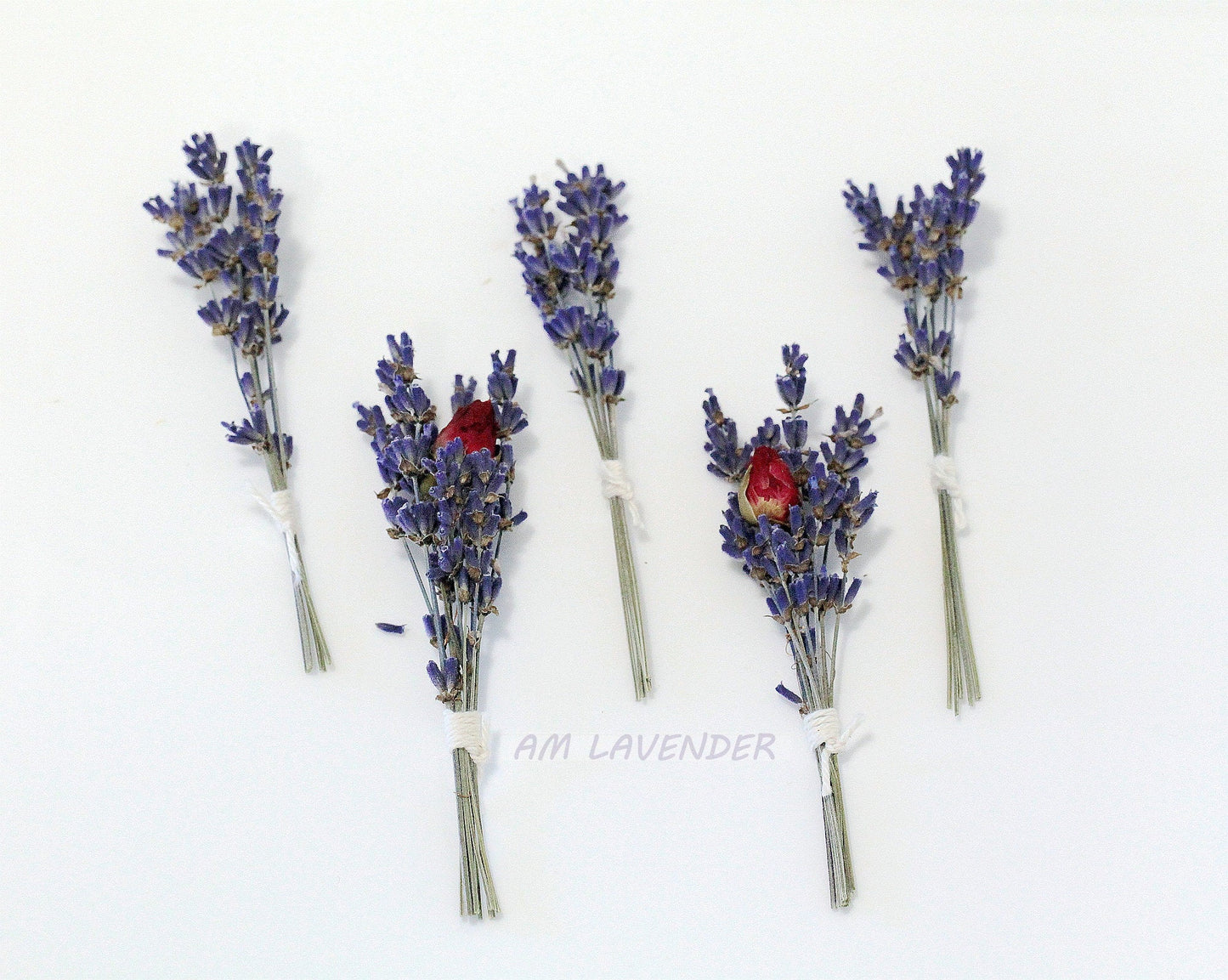 Cake Flower : Rose Garden | AM Lavender