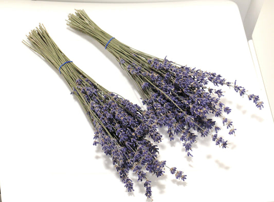 Set of 2 / 5 Organic English Lavender Bundles or 200x Long True Lavender Stems