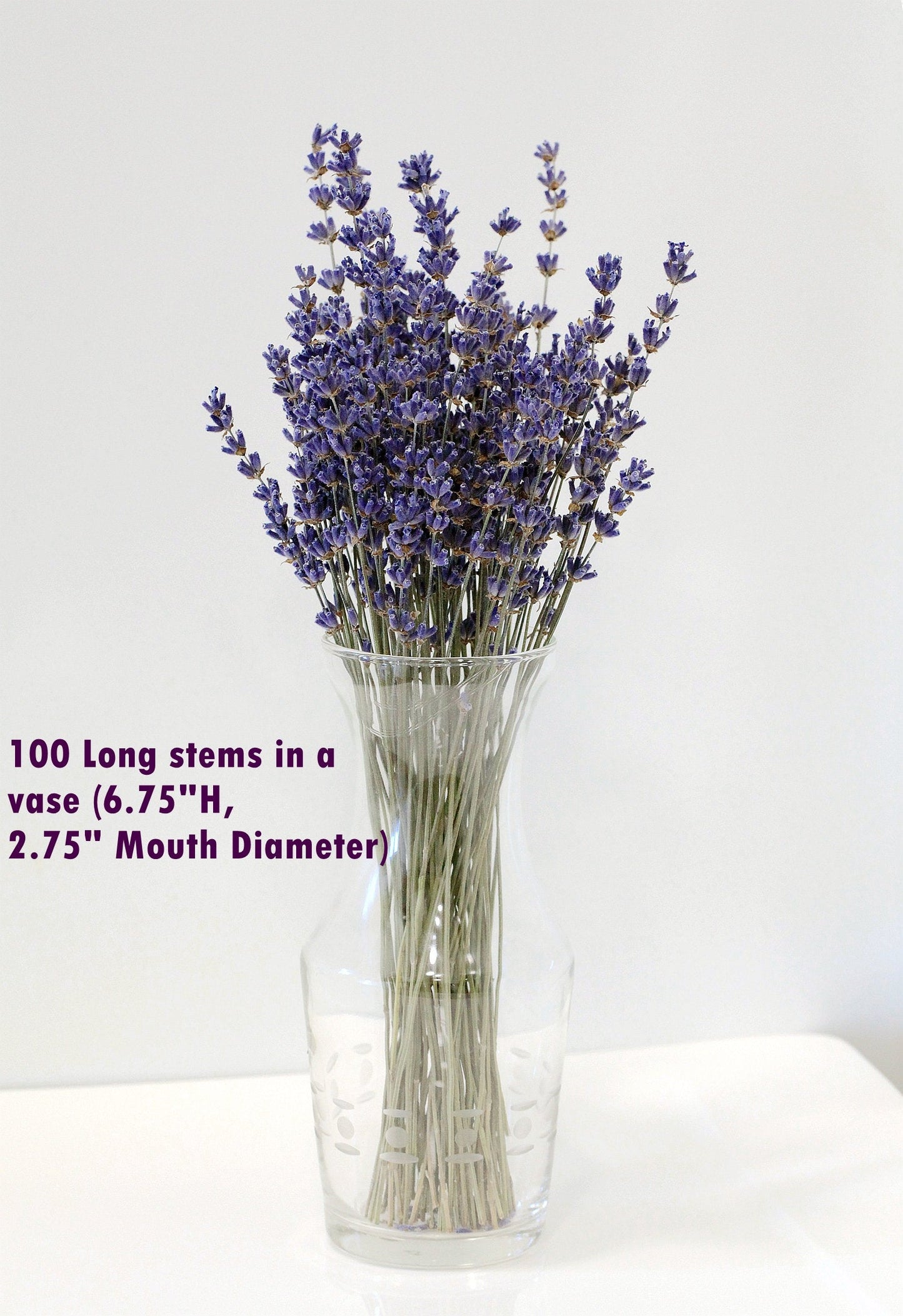 Set of 24 Organic English Lavender Bundles | AM Lavender