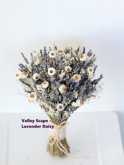 Bouquet - Valley Scape - Lavender Daisy | AM Lavender