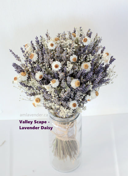 Bouquet - Valley Scape - Lavender Daisy | AM Lavender
