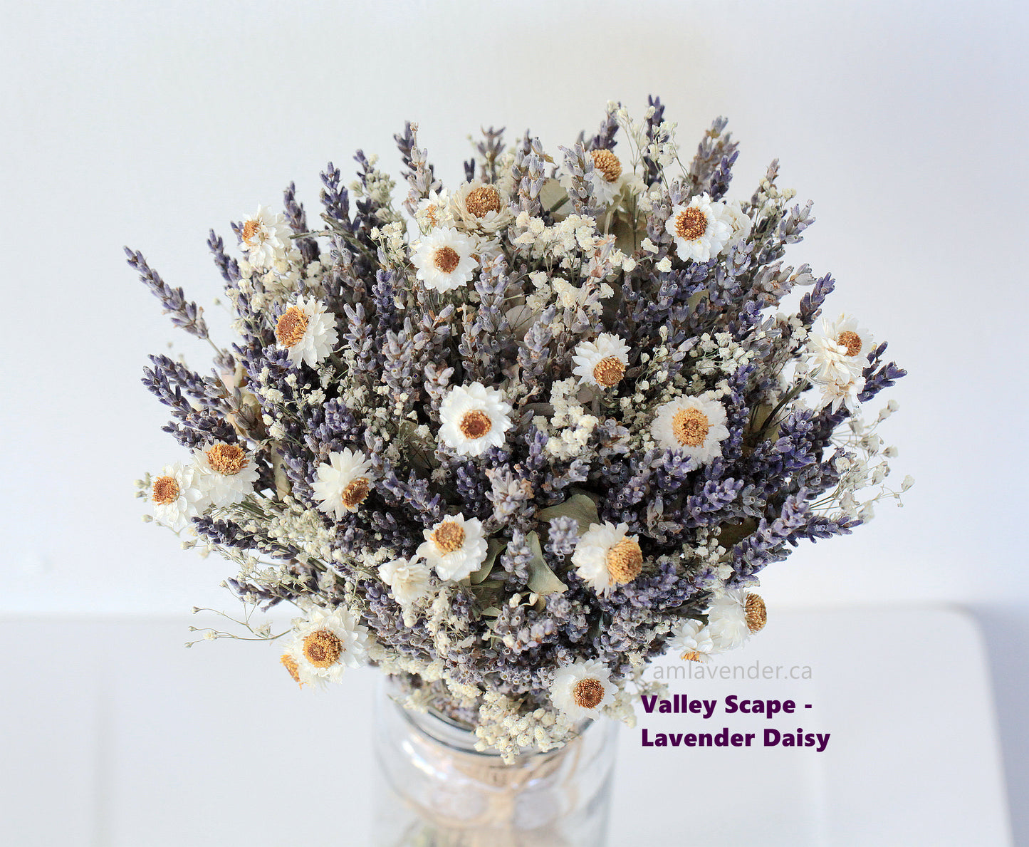 Bouquet - Valley Scape - Lavender Daisy | AM Lavender