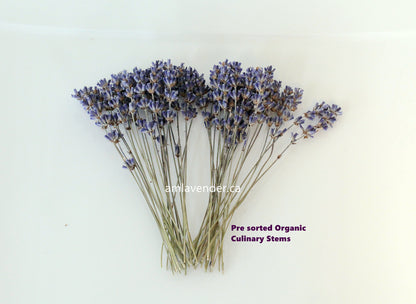 Organic Culinary Lavender Stems - Freshness Perfected | AM Lavender