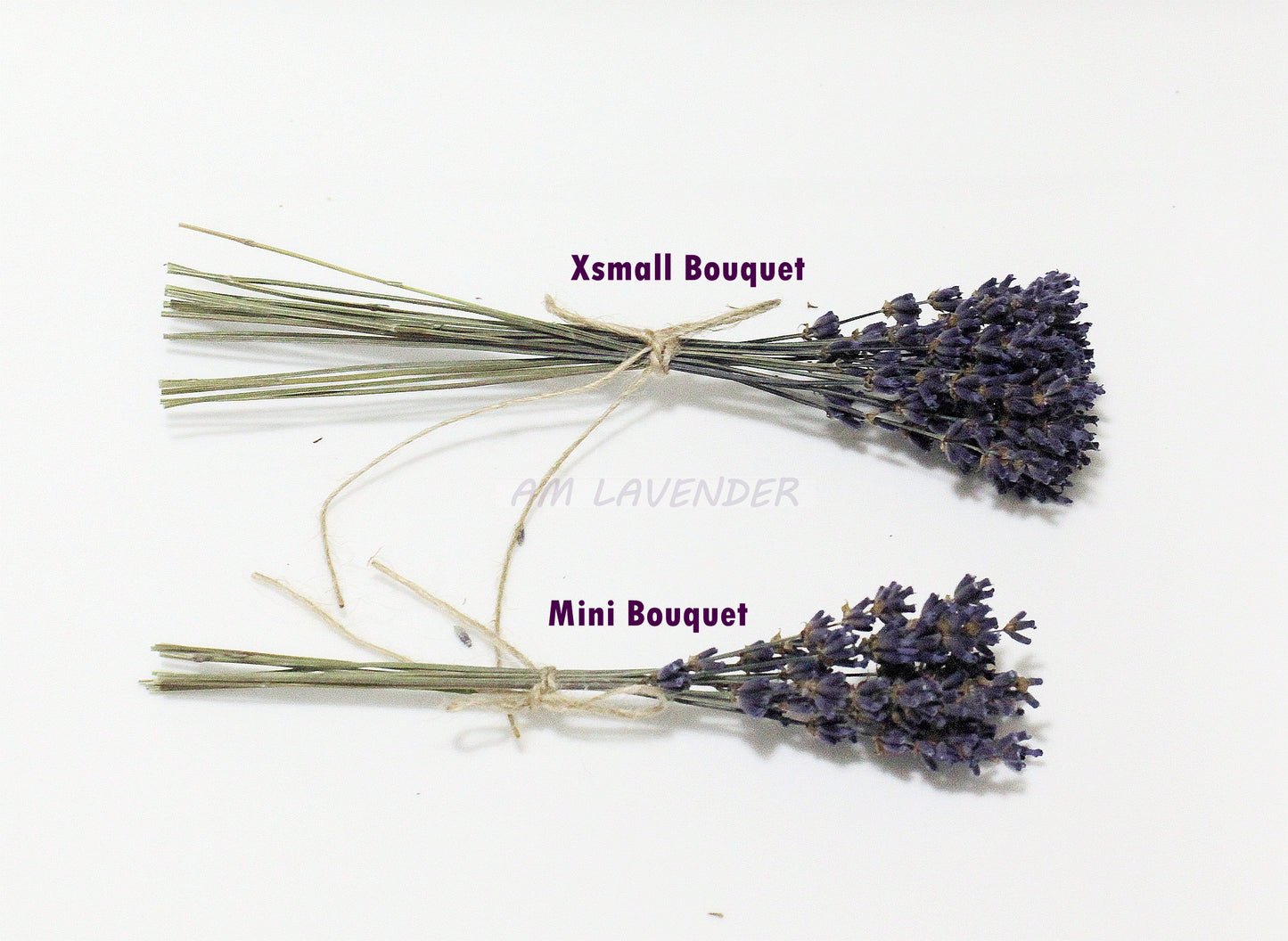 Napkin Bouquet: xSmall D1 | AM Lavender