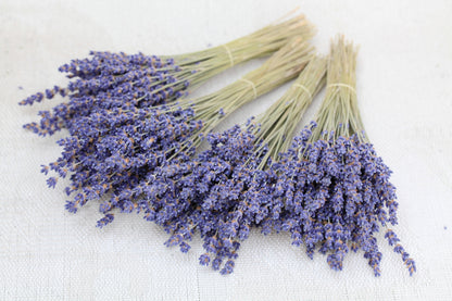 1 lb. Organic Culinary Lavenders | AM Lavender