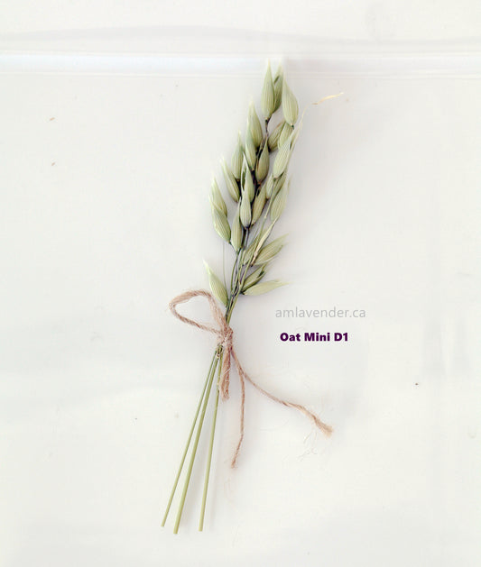Napkin Bouquet: Oat Mini D1 | AM Lavender