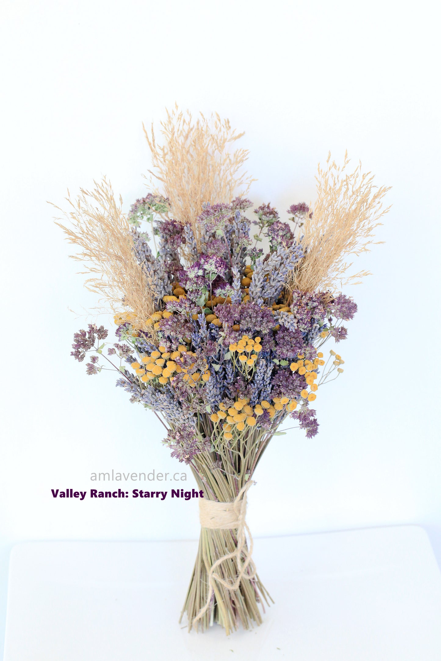 Boutonniere / Corsage : Valley Ranch - Starry Night | AM Lavender