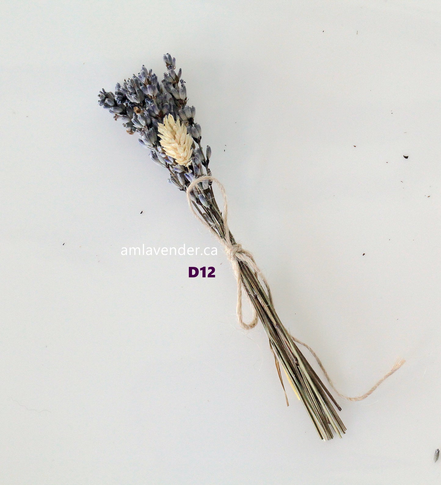 Napkin Bouquet: Lav Mini D12 | AM Lavender