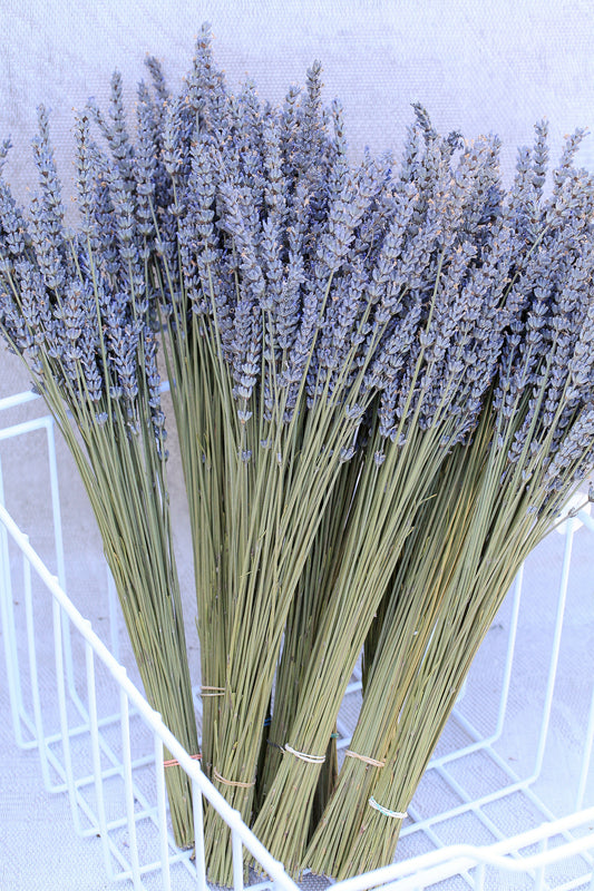250/500/750/1000/1500/2000 Stems of Dried Organic French Lavender