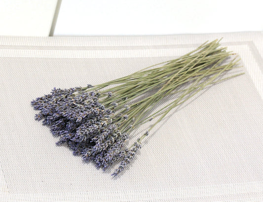 Set of 250 / 500  Organic French Lavender Stems | AM Lavender