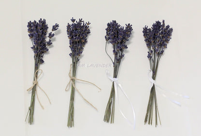 Napkin Bouquet: Lav Mini D14 | AM Lavender