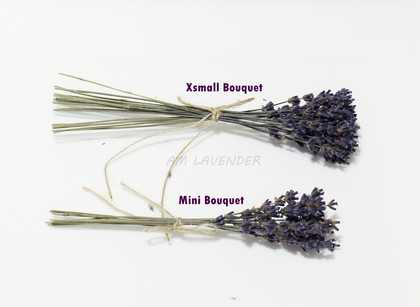 Napkin Bouquet: Lav Mini D1 | AM Lavender