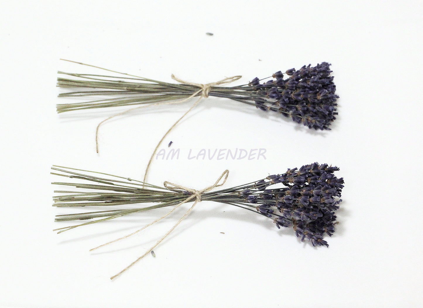 Napkin Bouquet: Lav Mini D1 | AM Lavender