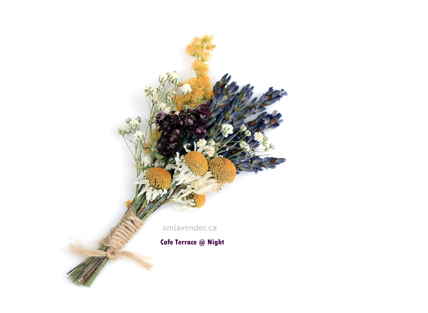 Bouquet: Cafe Terrace At Night | AM Lavender