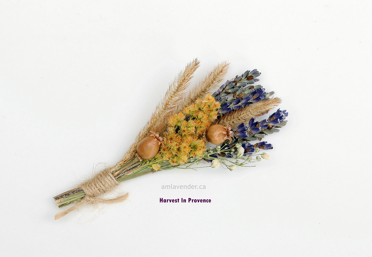 Bouquet: Harvest In Provence | AM Lavender