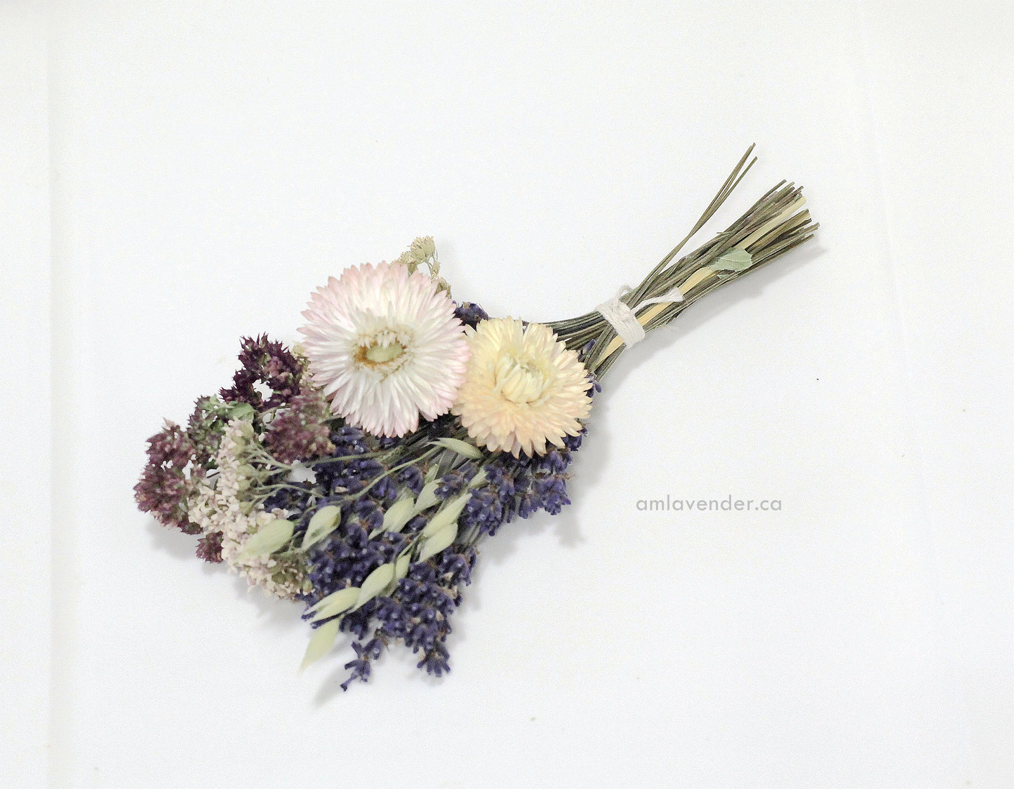 Cake Flower : Green Line | AM Lavender