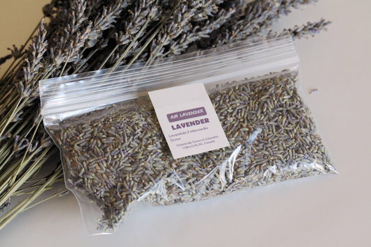 Organic Aromatic Lavender Buds | AM Lavender