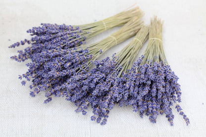 Organic Culinary Lavenders - Ship with NO tracking | AM Lavender