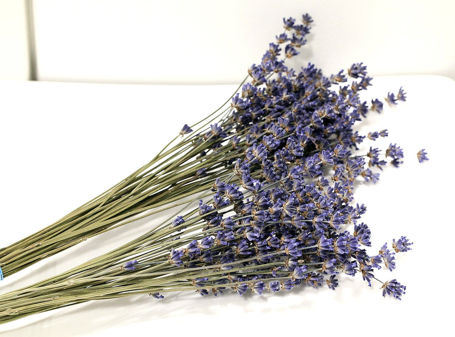 Set of 2 / 5 Organic English Lavender Bundles or 200x Long True Lavender Stems