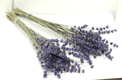 Set of 2 / 5 Organic English Lavender Bundles or 200x Long True Lavender Stems