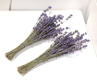 Set of 2 / 5 Organic English Lavender Bundles or 200x Long True Lavender Stems